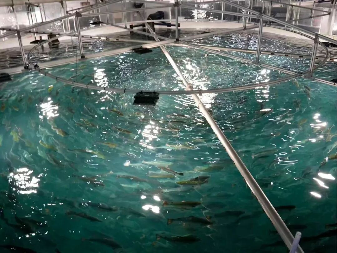 深耕浙江 | 潮涌东海，做蓝色经济的长期合伙人  第3张